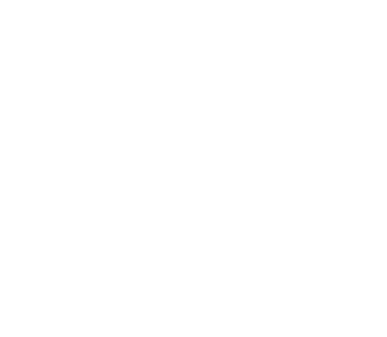 Beyond Any Limits logo